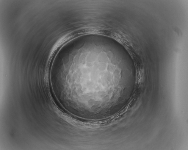 X0000114700004200910211301