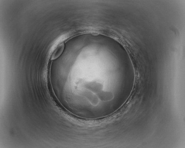 X0000114700006200910211301