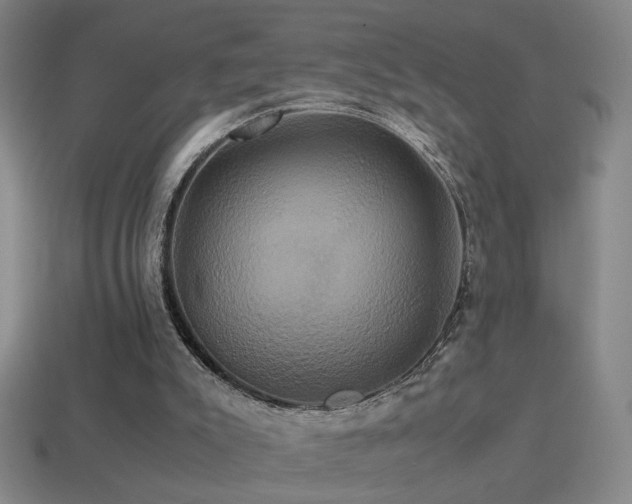 X0000114700007200910211301