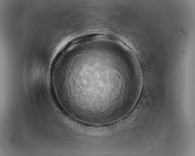 X0000114700008200910211301