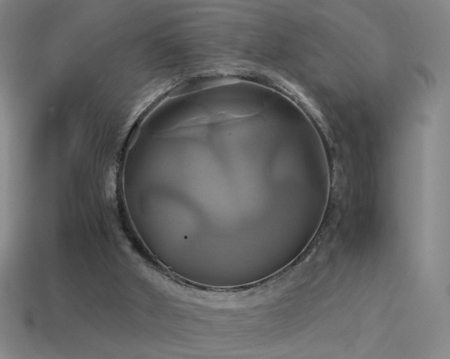 X0000114700010200910211301