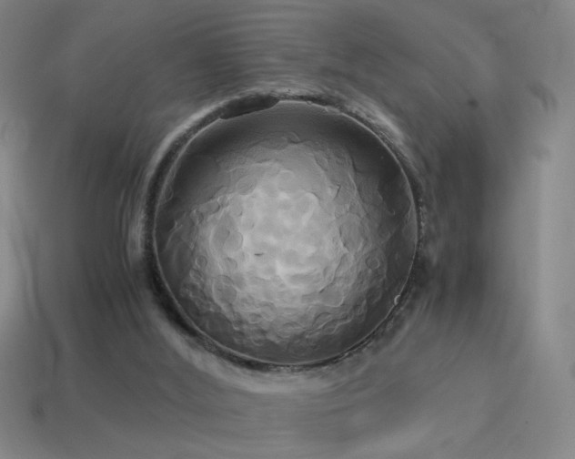 X0000114700012200910211301