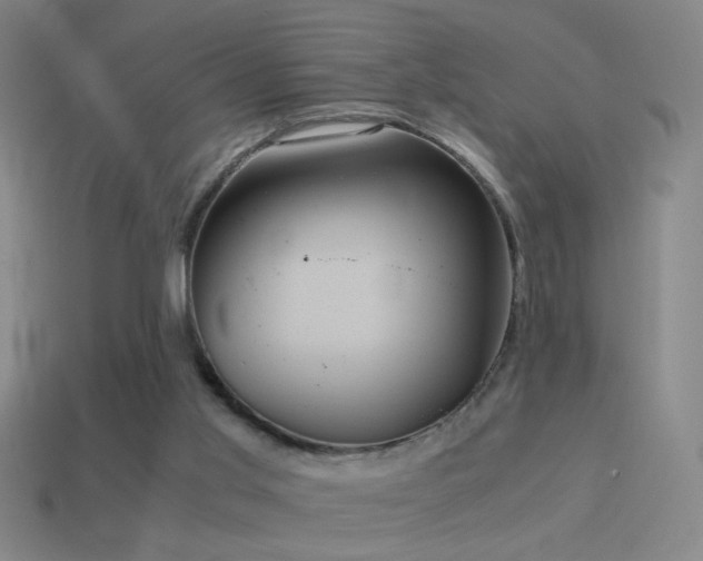 X0000114700013200910211301