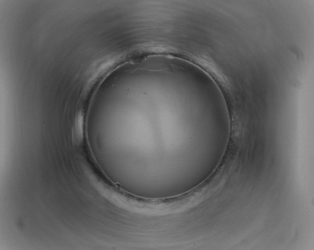 X0000114700014200910211301