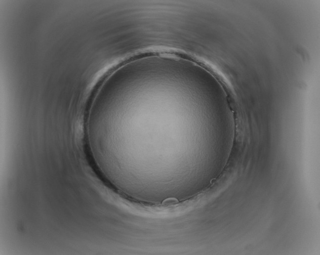 X0000114700015200910211301