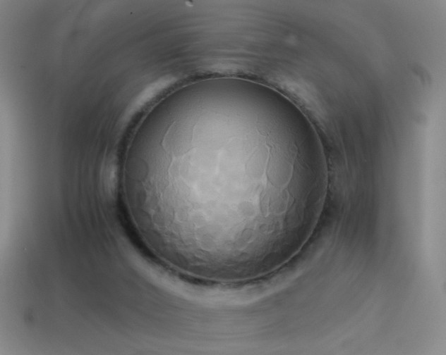 X0000114700016200910211301