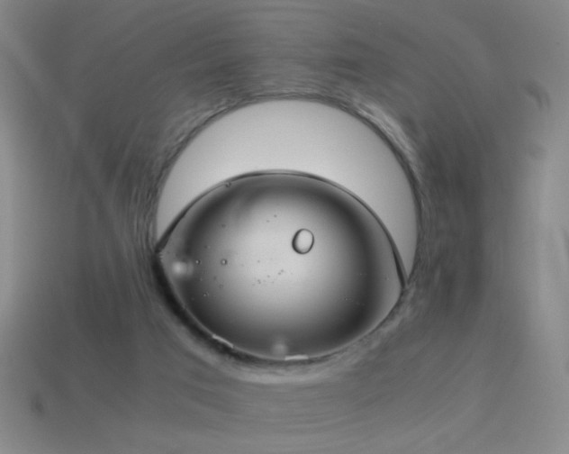 X0000114700017200910211301