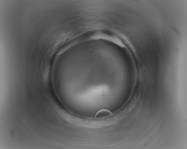 X0000114700018200910211301