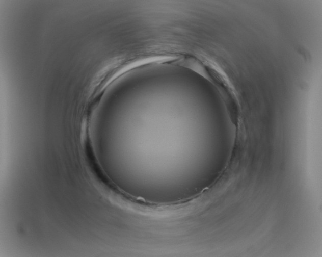 X0000114700019200910211301