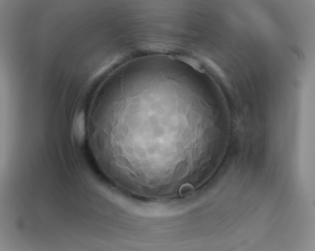 X0000114700020200910211301