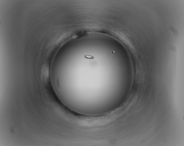 X0000114700021200910211301