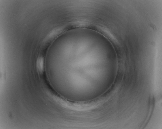 X0000114700022200910211301