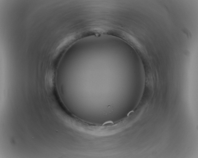 X0000114700023200910211301