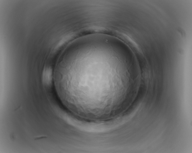 X0000114700024200910211301