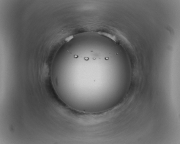 X0000114700025200910211301