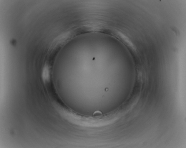 X0000114700026200910211301