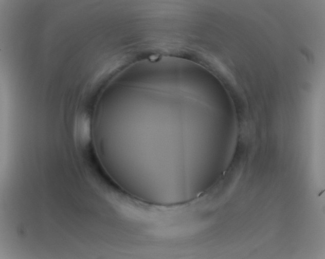 X0000114700027200910211301