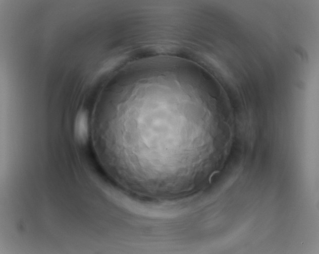 X0000114700028200910211301