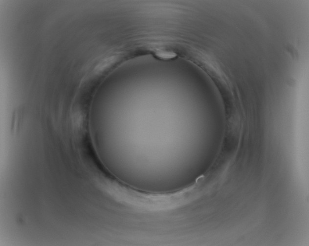 X0000114700031200910211301