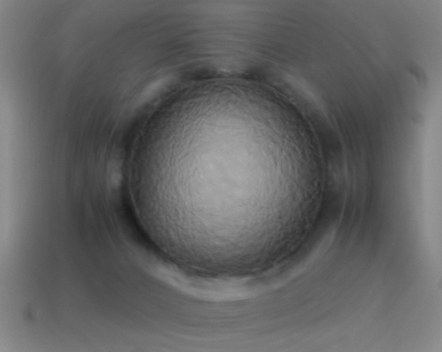 X0000114700032200910211301