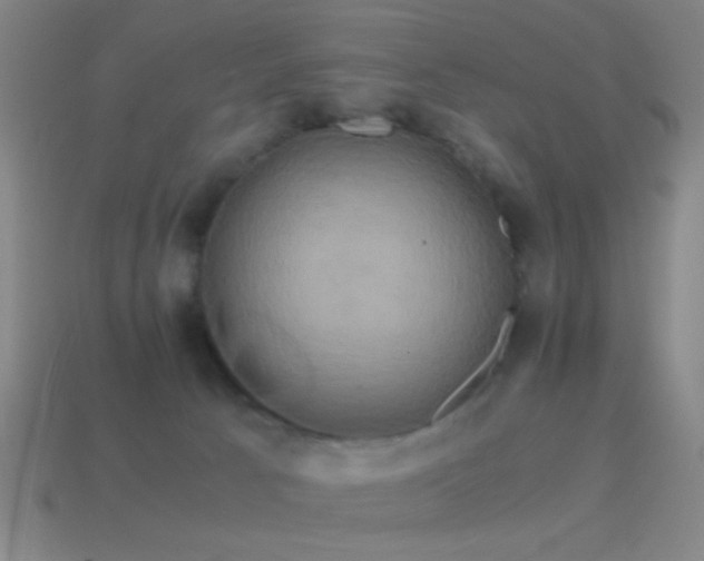 X0000114700033200910211301