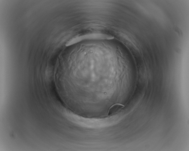 X0000114700034200910211301