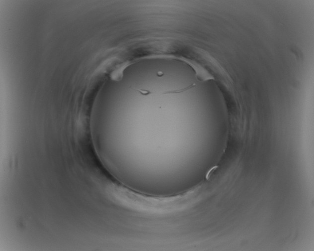 X0000114700035200910211301