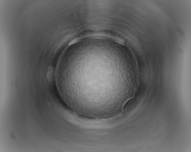 X0000114700036200910211301