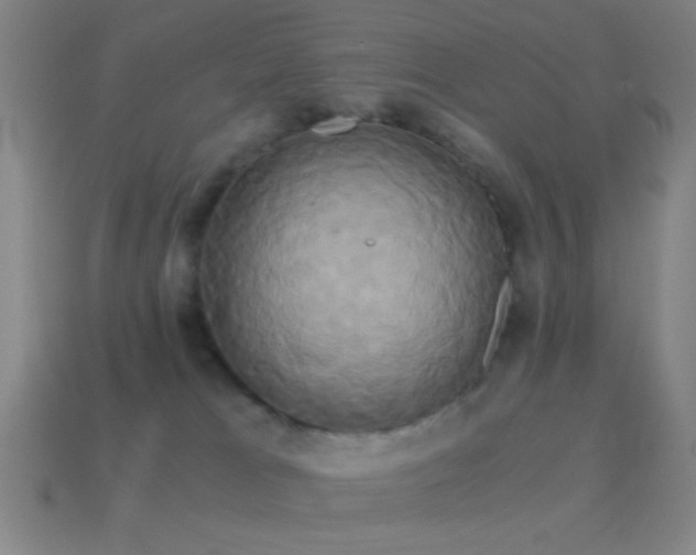 X0000114700037200910211301