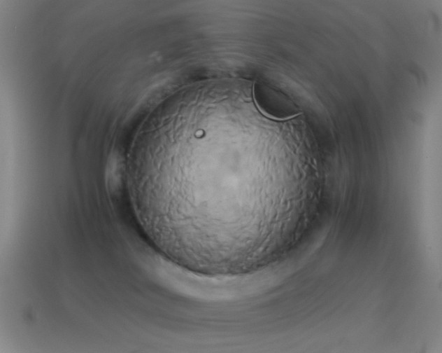 X0000114700038200910211301