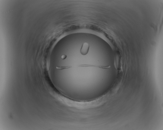 X0000114700039200910211301