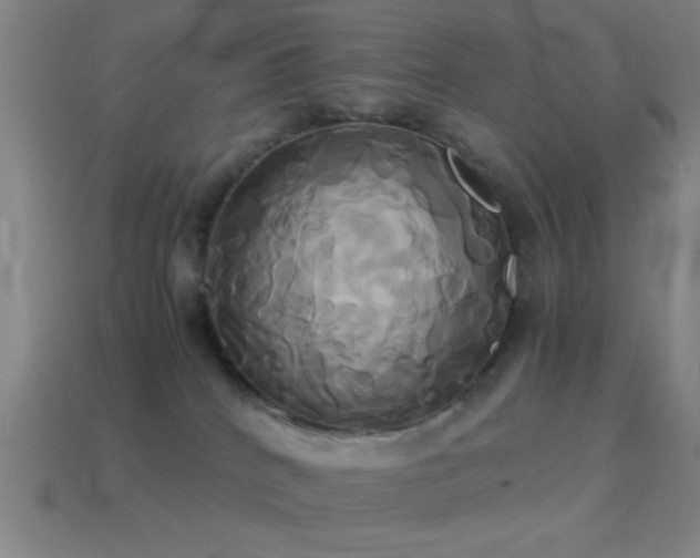 X0000114700040200910211301