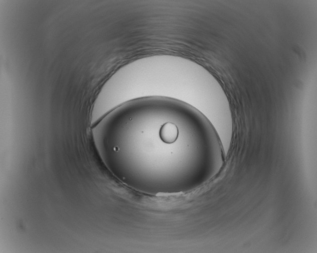 X0000114700041200910211301