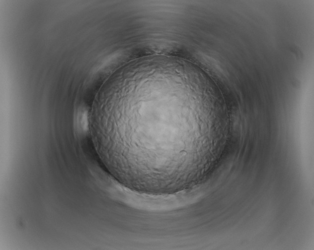 X0000114700042200910211301