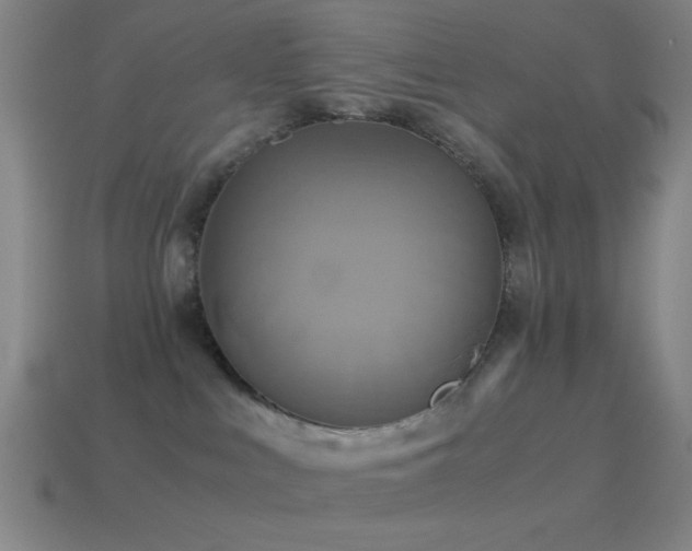 X0000114700043200910211301