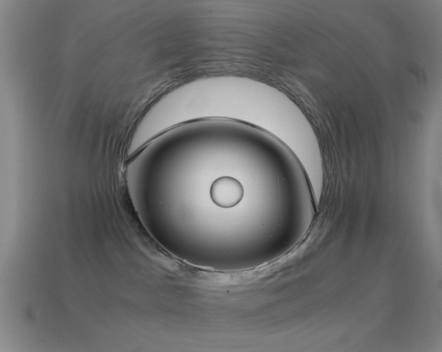 X0000114700045200910211301