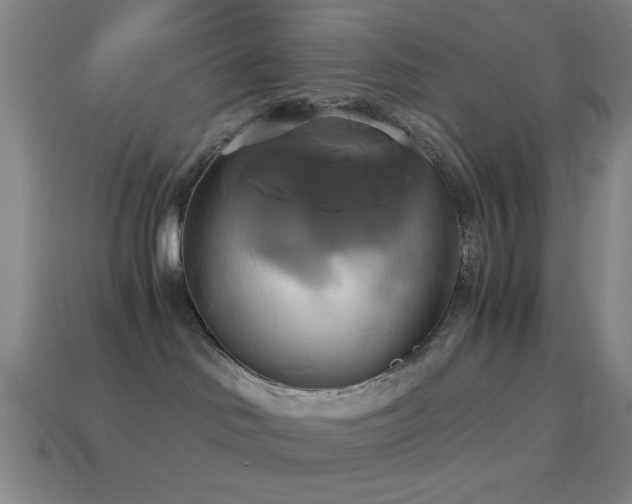 X0000114700046200910211301