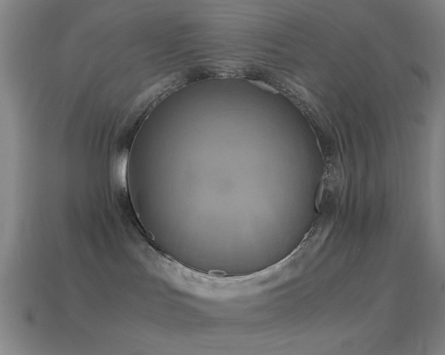 X0000114700047200910211301