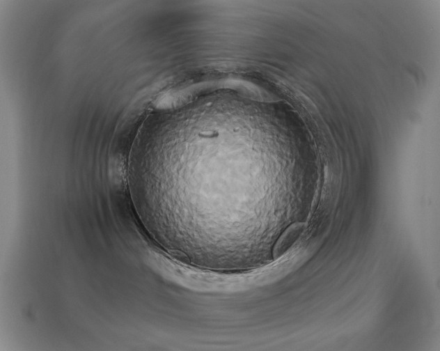 X0000114700048200910211301