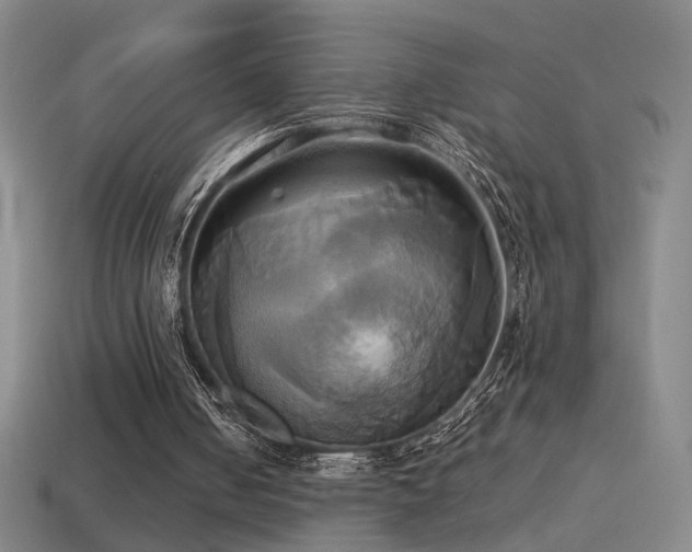 X0000114700050200910211300