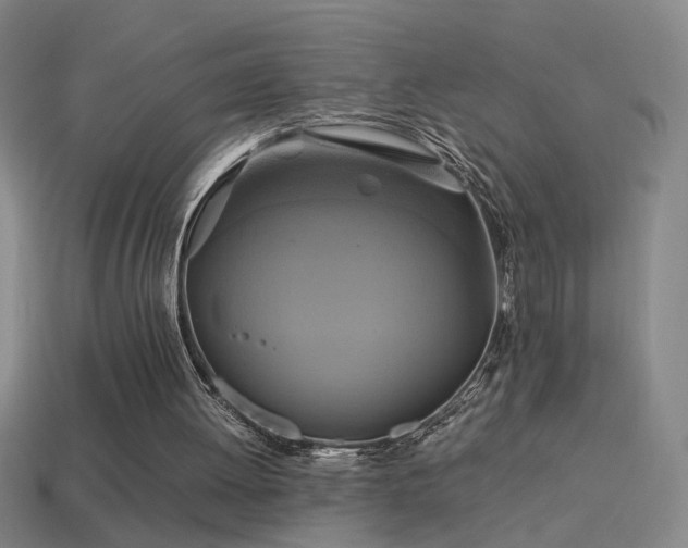 X0000114700052200910211300