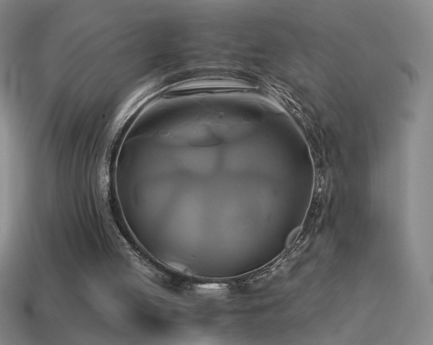 X0000114700053200910211300