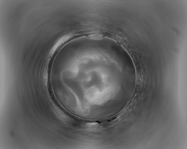 X0000114700054200910211300