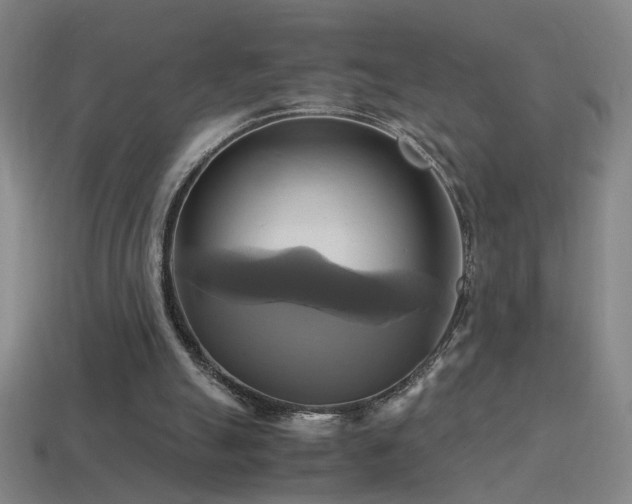 X0000114700055200910211300