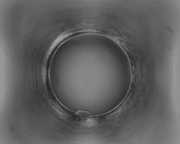 X0000114700056200910211300