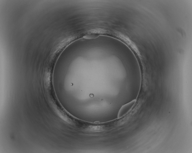 X0000114700057200910211300