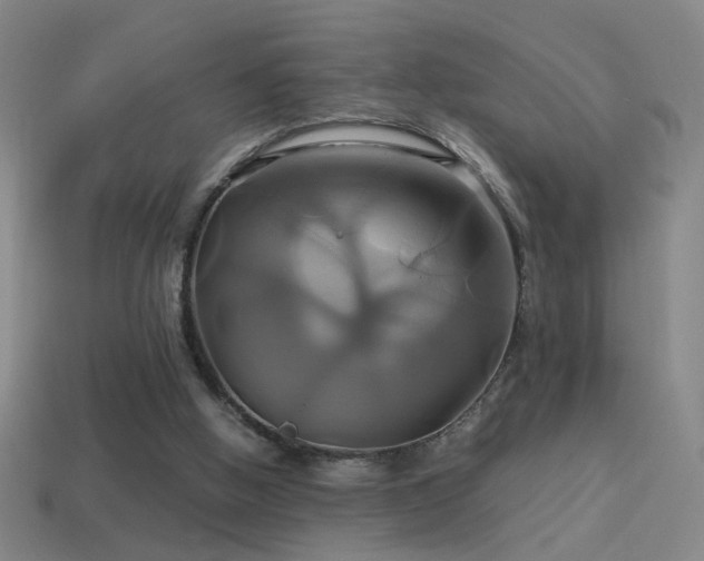 X0000114700058200910211300