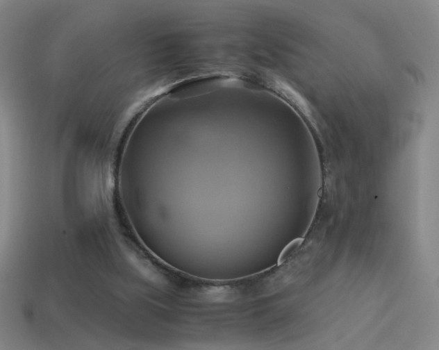 X0000114700059200910211300