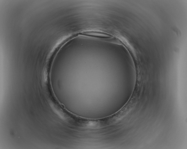 X0000114700060200910211300