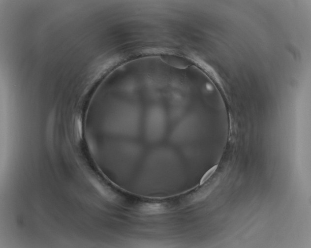 X0000114700061200910211300